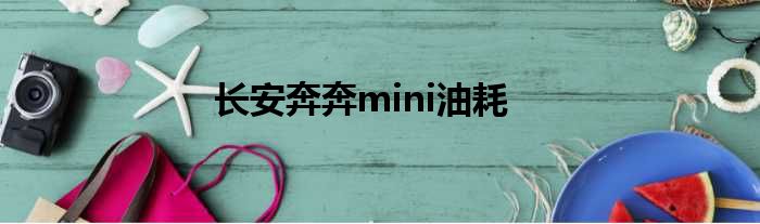 长安奔奔mini油耗