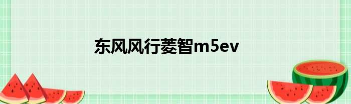 东风风行菱智m5ev