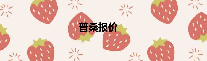 普桑报价