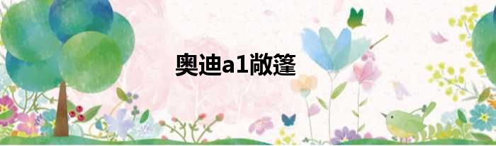 奥迪a1敞篷