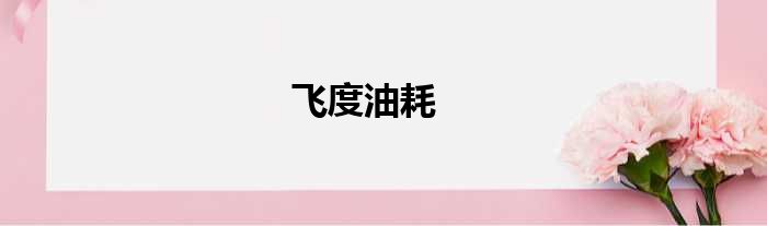 飞度油耗
