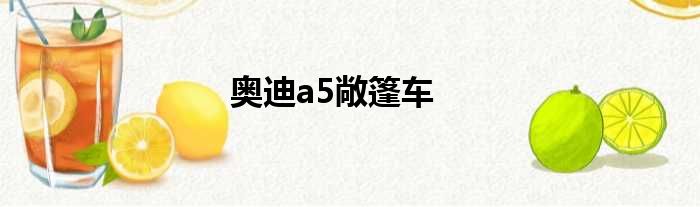 奥迪a5敞篷车