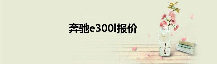 奔驰e300l报价
