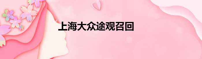 上海大众途观召回