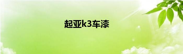 起亚k3车漆