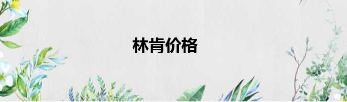林肯价格