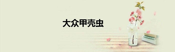 大众甲壳虫