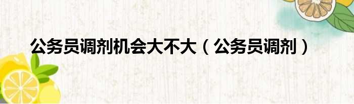 公务员调剂机会大不大（公务员调剂）