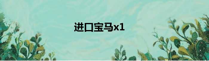 进口宝马x1
