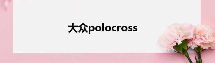 大众polocross