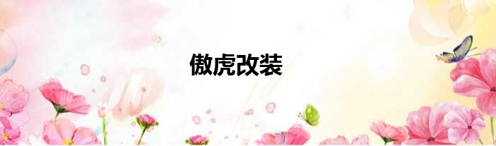 傲虎改装