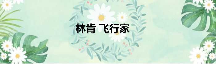 林肯 飞行家
