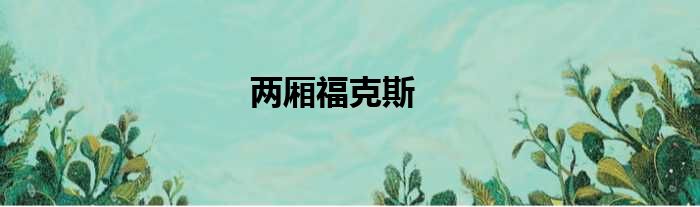 两厢福克斯