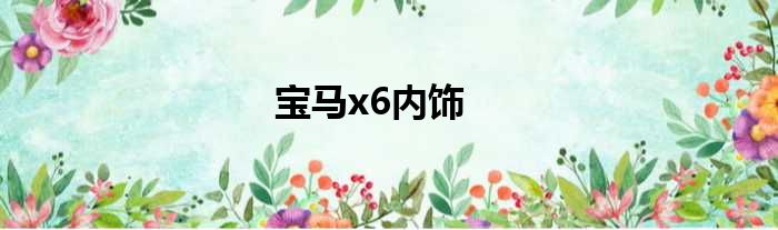 宝马x6内饰