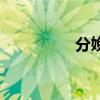 分娩的视频过程（分娩）