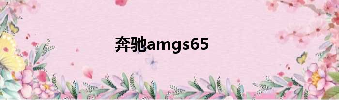 奔驰amgs65