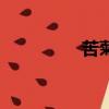 苦菊怎么做好吃（苦菊）