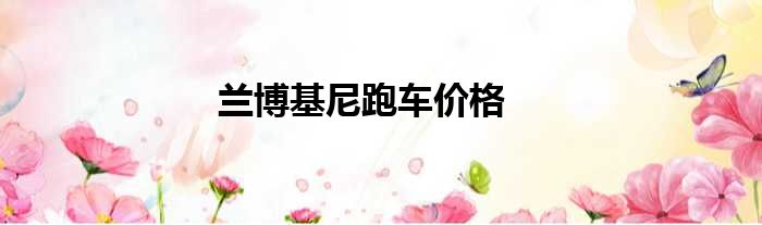兰博基尼跑车价格