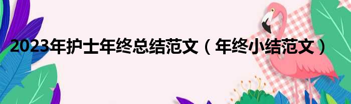 2023年护士年终总结范文（年终小结范文）