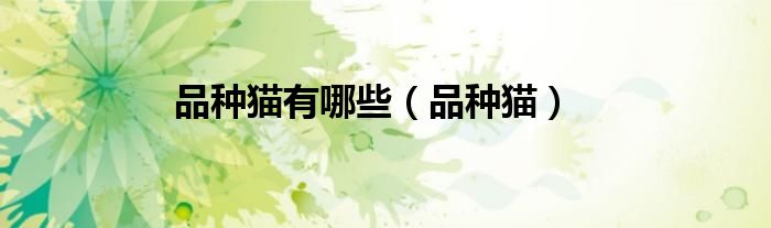 品种猫有哪些（品种猫）