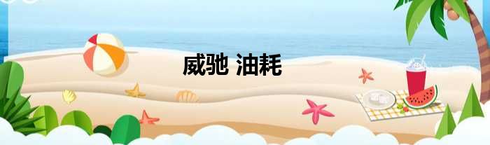 威驰 油耗