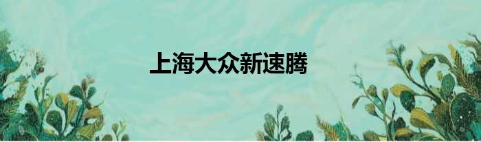 上海大众新速腾