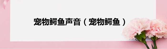 宠物鳄鱼声音（宠物鳄鱼）