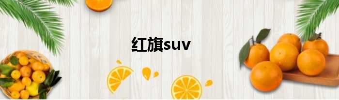 红旗suv