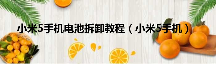 小米5手机电池拆卸教程（小米5手机）