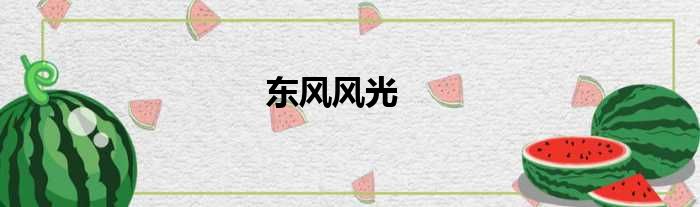 东风风光