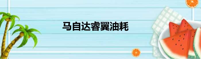 马自达睿翼油耗