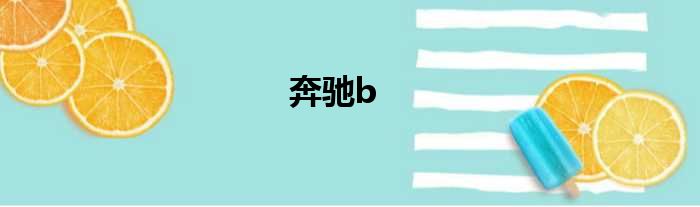 奔驰b