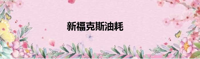 新福克斯油耗