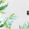 福克斯两厢2013款