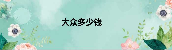 大众多少钱