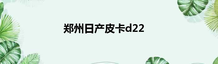 郑州日产皮卡d22
