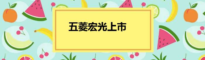 五菱宏光上市