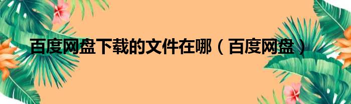 百度网盘下载的文件在哪（百度网盘）