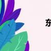 东风风光580智尚版