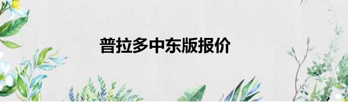 普拉多中东版报价