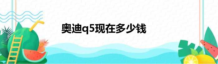 奥迪q5现在多少钱