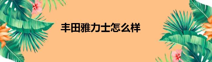 丰田雅力士怎么样