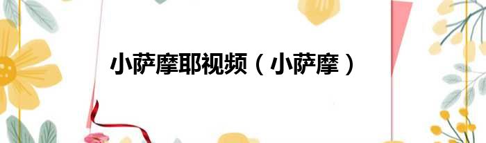 小萨摩耶视频（小萨摩）