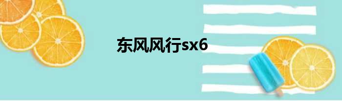 东风风行sx6