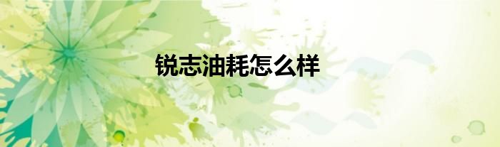 锐志油耗怎么样