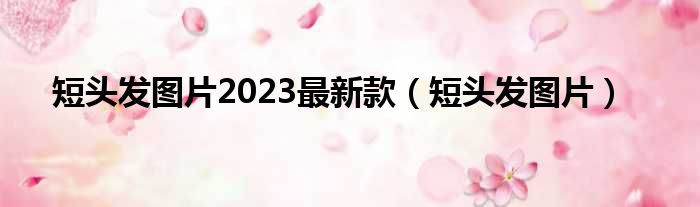 短头发图片2023最新款（短头发图片）