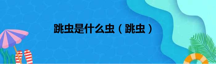 跳虫是什么虫（跳虫）