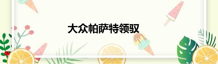 大众帕萨特领驭