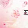 五菱宏光2013款新车
