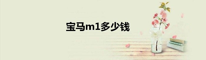 宝马m1多少钱